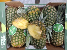 Ananas ~11 kg (kraj poch. Kostaryka)