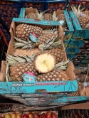 Ananas ~11 kg II klasa (kraj poch. Kostaryka)
