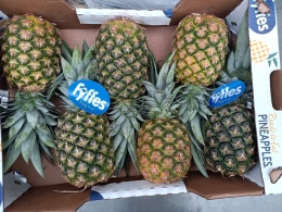 Ananas ~11 kg (kraj poch. Kostaryka)