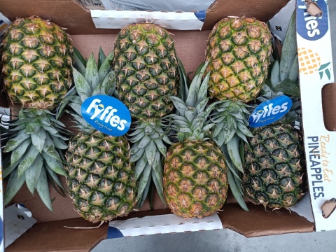 Ananas ~11 kg (kraj poch. Kostaryka)