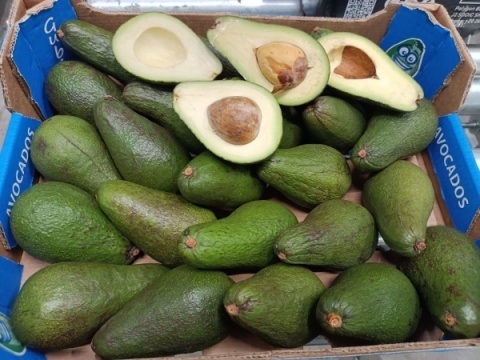 Zestaw 5 produktów (Awokado 2kg Mango 2kg Mandarynki 3kg Pomarańcze 3kg Banan 3kg)