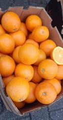 Zestaw 5 produktów (Awokado 2kg Mango 2kg Mandarynki 3kg Pomarańcze 3kg Banan 3kg)