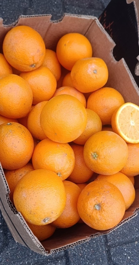 Zestaw 5 produktów (Awokado 2kg Mango 2kg Mandarynki 3kg Pomarańcze 3kg Banan 3kg)