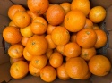 Zestaw 5 produktów (Awokado 2kg Mango 2kg Mandarynki 3kg Pomarańcze 3kg Banan 3kg)