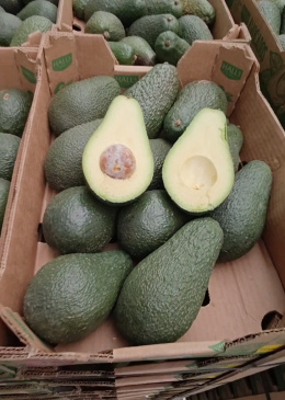 Awokado świeże skrzynka 4 kg