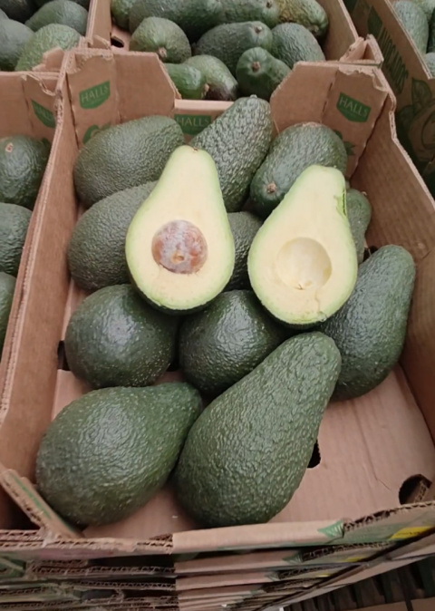 Awokado świeże skrzynka 4 kg Awokado świeże skrzynka 4 kg