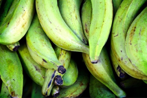 Plantan 2 klasa 1 kg