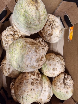Seler 5 kg (kraj poch. Polska)