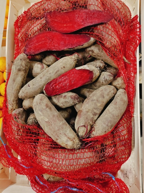 Buraki podłużne z gospodarstwa pod Warszawą worek 10kg