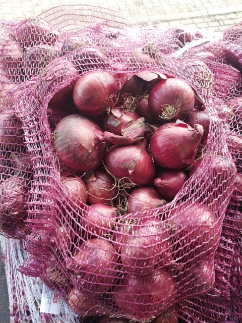 Cebula czerwona z gospodarstwa pod Warszawą worek 5kg (kraj poch. Polska)
