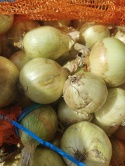 Cebula młoda zwykła z gospodarstwa pod Warszawą worek 5kg (kraj poch. Polska)