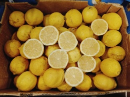 Cytryna II klasa, przemysłowa 15 kg (kraj poch. RPA)