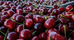 Czereśnia I klasa 1kg (kraj poch. Hiszpania)