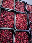 Czereśnia I klasa 1kg (kraj poch. Hiszpania)