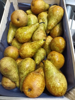 Gruszka karton 10kg kraj poch.(Hiszpania)
