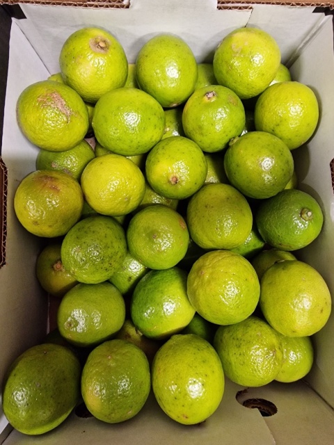 Limonka 4 kg - skazy skórki, nierównomierne wybarwienie