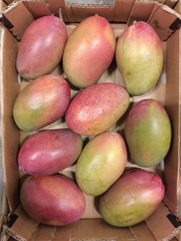 Mango II kl. 3x4kg (12kg)