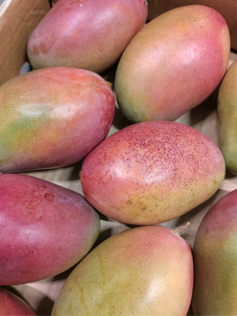 Mango II kl. 4 kg (kraj poch. Brazylia)