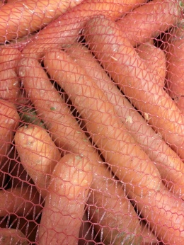 Marchew niemyta 10 kg (kraj poch. Polska)