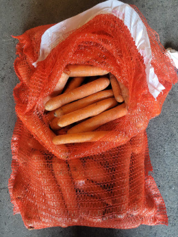 Marchew polska myta 10 kg