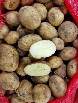 Młode ziemniaki 10 kg (kraj poch. Egipt)