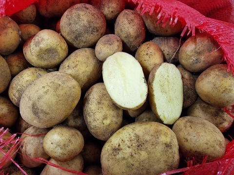 Młode ziemniaki 10 kg (kraj poch. Egipt)