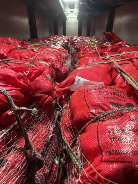 Młode ziemniaki 10 kg (kraj poch. Egipt)