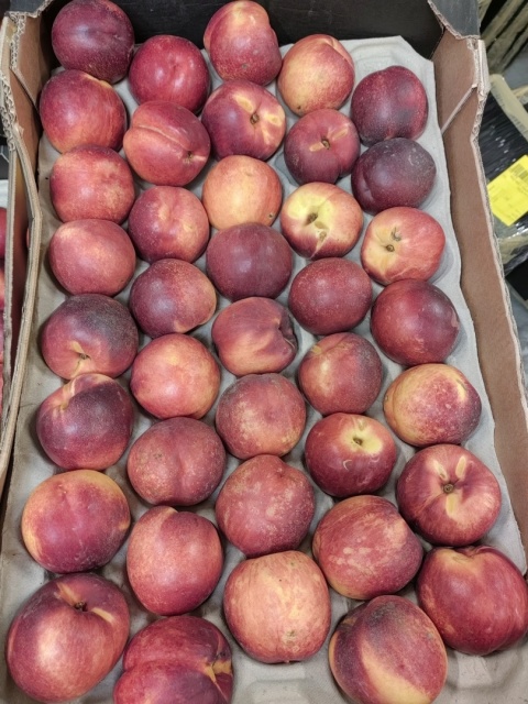 Nektarynka 10 kg 3 zł/kg (kraj poch. Hiszpania)