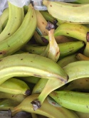 Plantan 2 klasa 1 kg