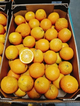 Pomarańcze II klasa 15 kg (kraj poch. Egipt)