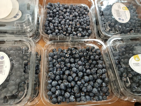 Świeża Borówka amerykańska 1,5 kg( kraj pochodzenia Maroko)