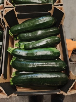 Cukinia skrzynka 5 kg (kraj poch. Włochy)