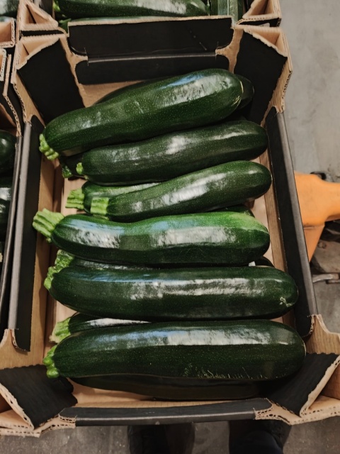 Cukinia skrzynka 5 kg (kraj poch. Włochy)