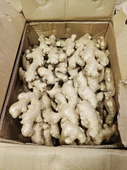 Świeży imbir I klasa 1 kg (kraj poch. Chile)