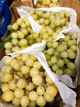 Winogrono II klasa jasne bezpestkowe skrzynka 5 kg (kraj poch. Włochy)
