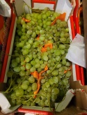 Winogrona jasne skrzynka 7 kg (kraj poch. Włochy)