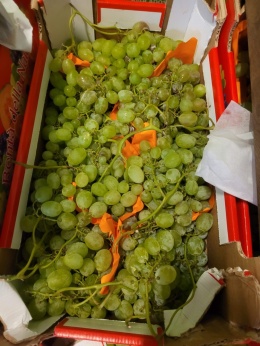 Winogrona jasne skrzynka 7 kg (kraj poch. Włochy)