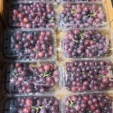 Winogrono ciemne bezpestkowe w punetkach 5 kg II klasa (kraj poch. Indie)