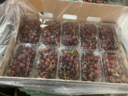 Winogrono ciemne bezpestkowe w punetkach 5 kg II klasa (kraj poch. Indie)