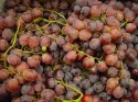 Winogrono red globe 3,5 kg (kraj poch. Chile)