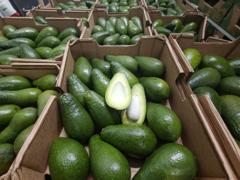 Awokado zielone I klasa 4 kg (kraj poch Chile)