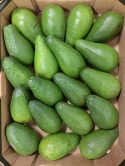 Awokado zielone I klasa 4 kg (kraj poch Chile)