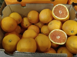 Czerwone pomarańcze II klasa 15 kg (kraj poch. RPA)