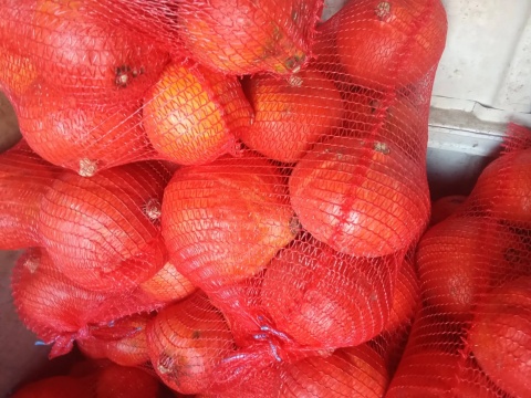 Dynia hokkaido 5 kg (kraj poch. Polska)