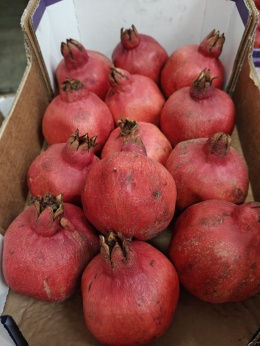 Granat 3,5 kg (kraj poch. Izrael)