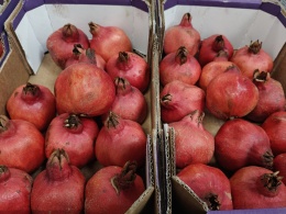 Granat 3,5 kg (kraj poch. Izrael)
